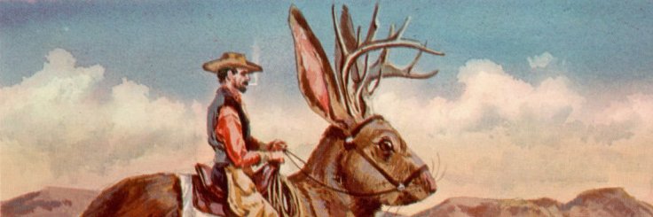 Jackalope Rider's banner