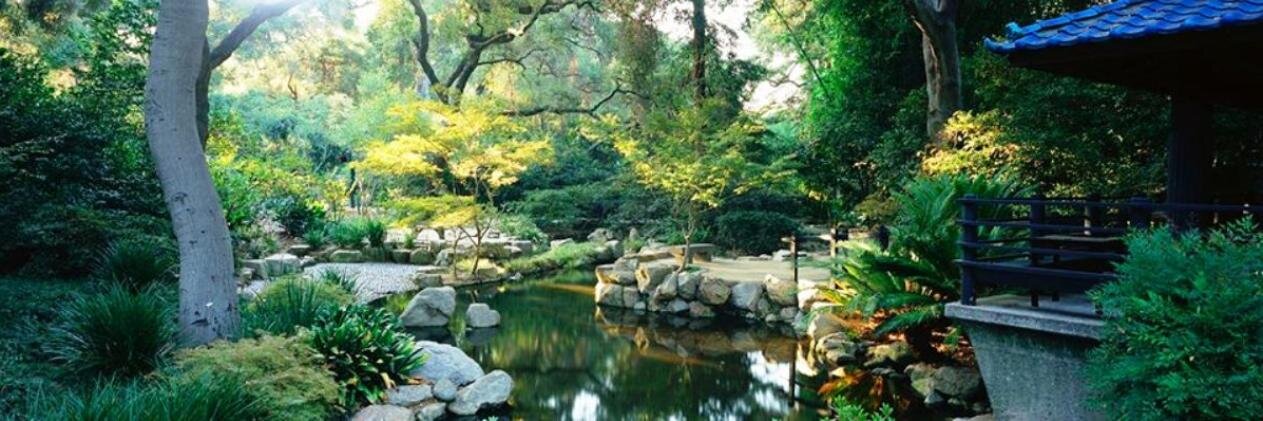 MostBGardens's profile banner image