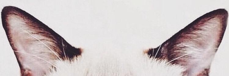 jazzzymoon's profile banner image
