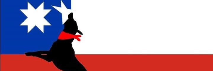 AleavariuM's profile banner image
