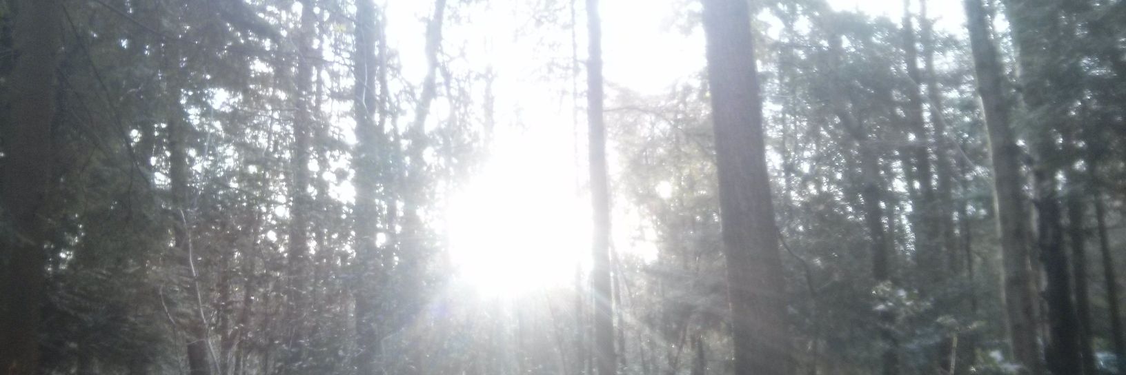 OrzelsMachine's profile banner image