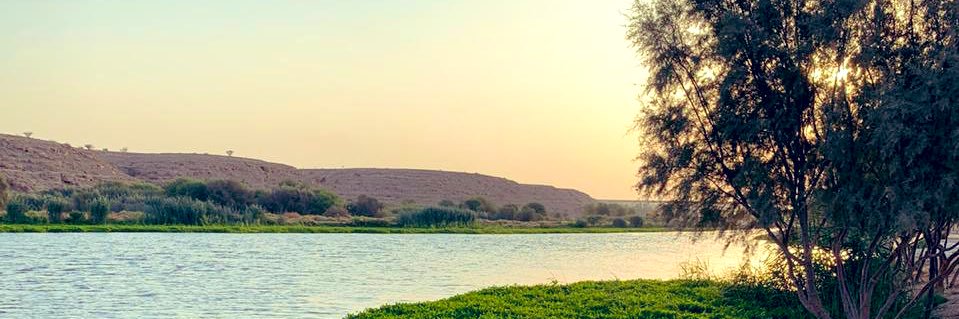sahar_khaled_'s profile banner image