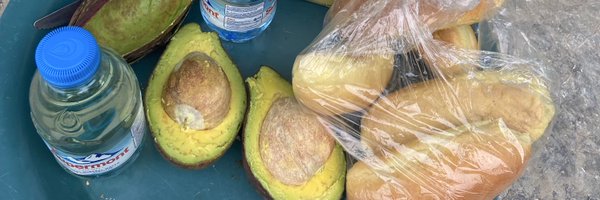 Emery_Guy Profile Banner