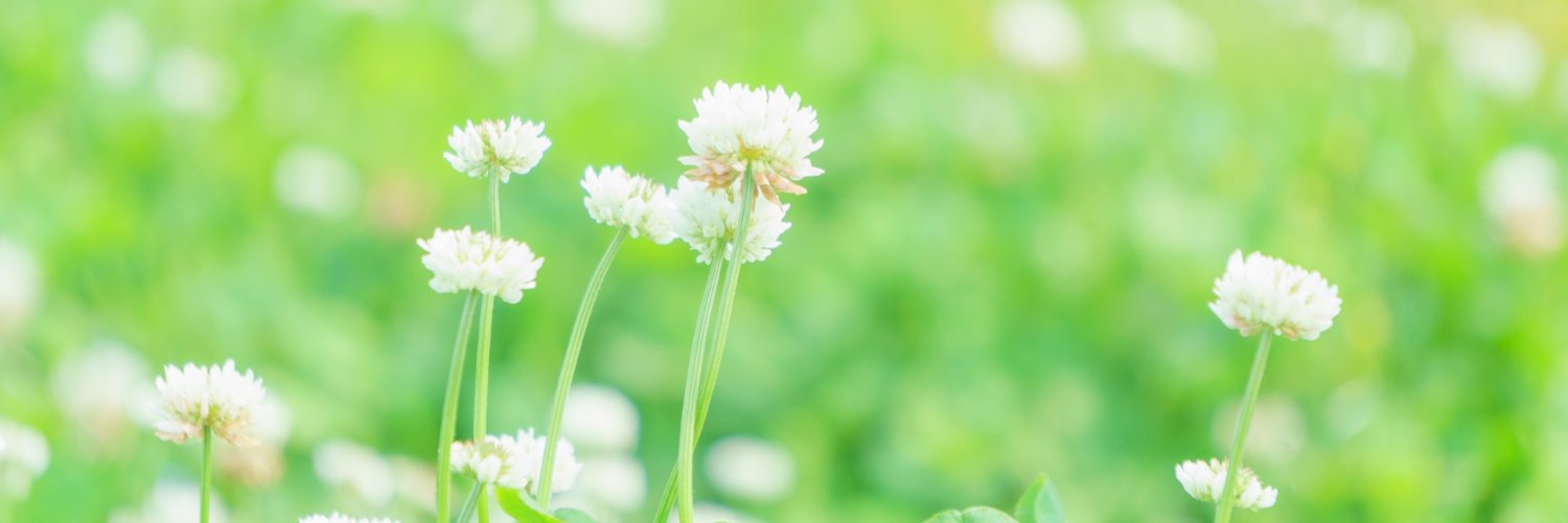 nosu2222's profile banner image