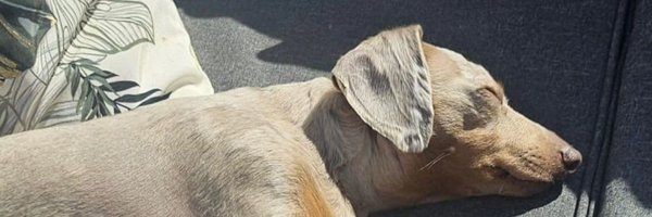 JessAndrew_8 Profile Banner