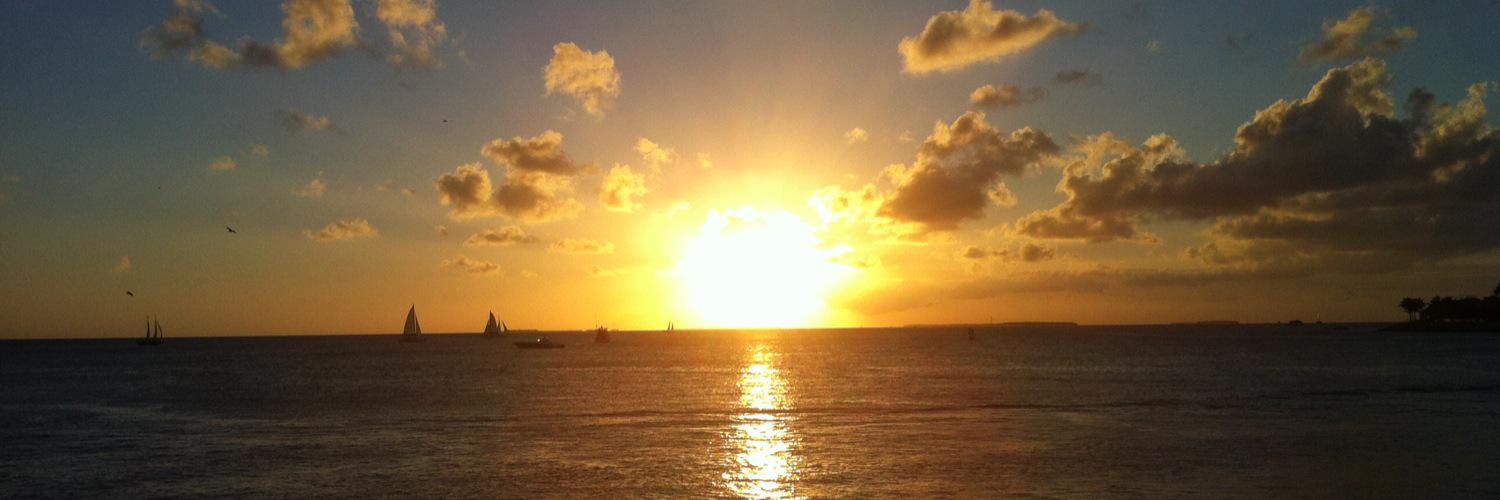 elvisflodder  banner