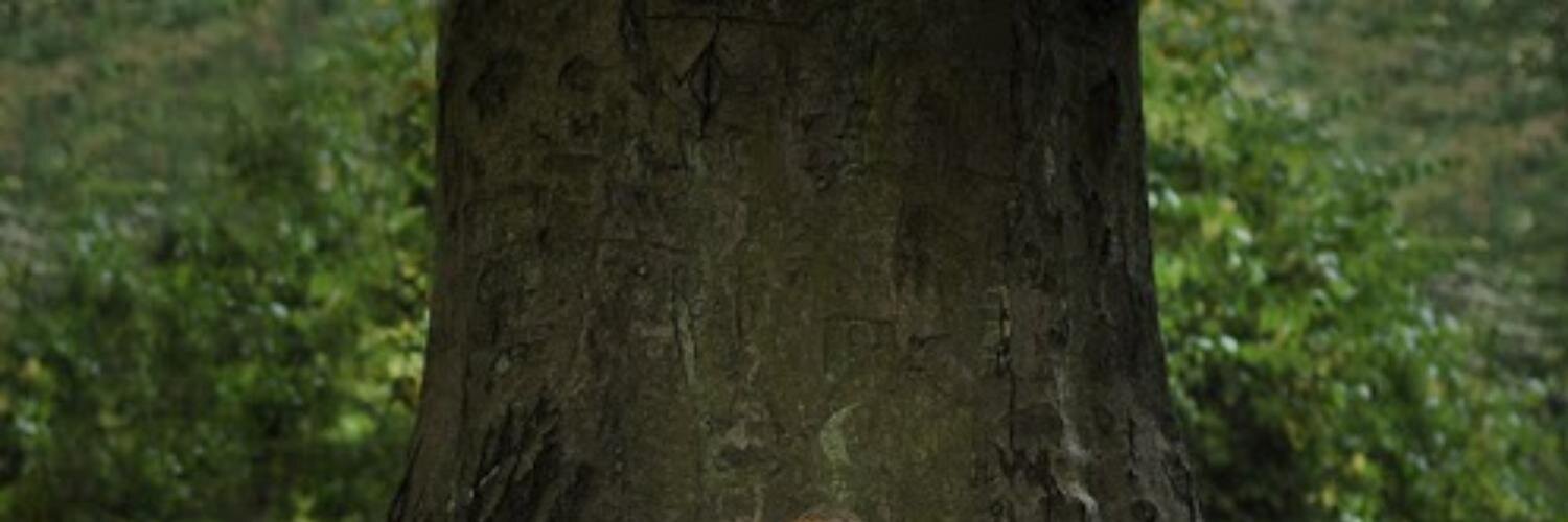iuricmp's profile banner image