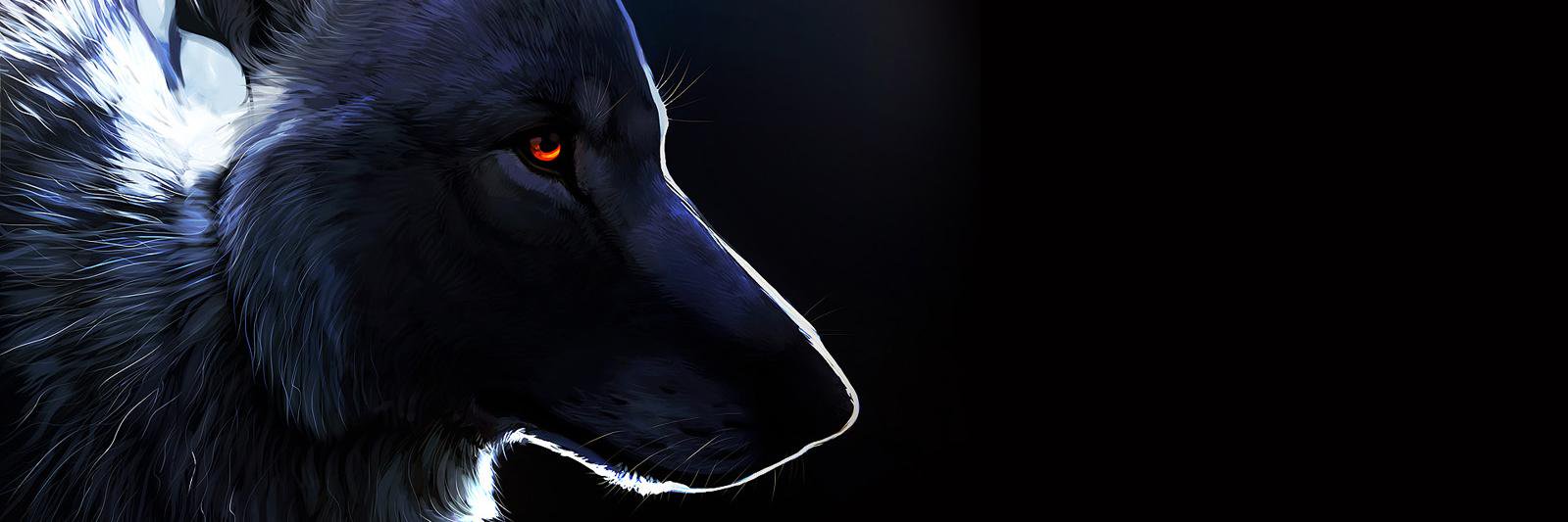 HelpMeFeetIt's profile banner image