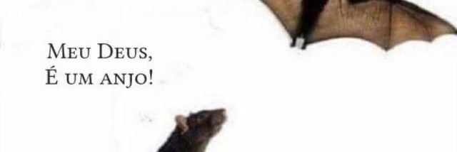 Tom Sogrob 🍰 banner