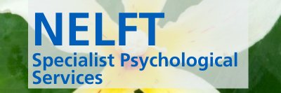 NELFT_SPS banner