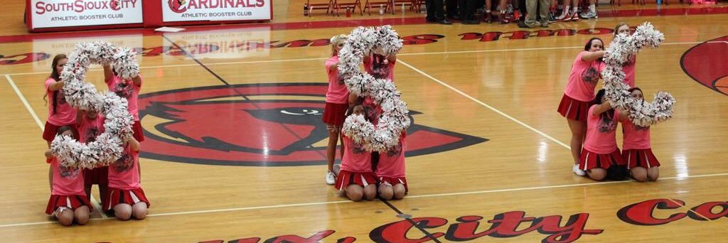 SSC Cheer banner