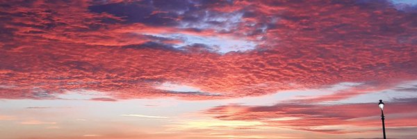 BryonyPS Profile Banner