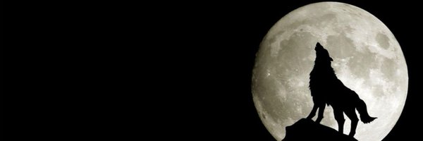 mads0x Profile Banner