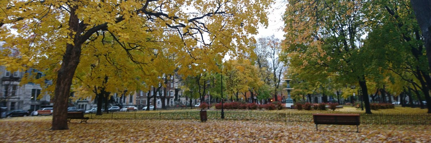 Patricia 🌸 banner