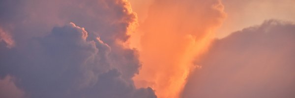 _Capture6 Profile Banner