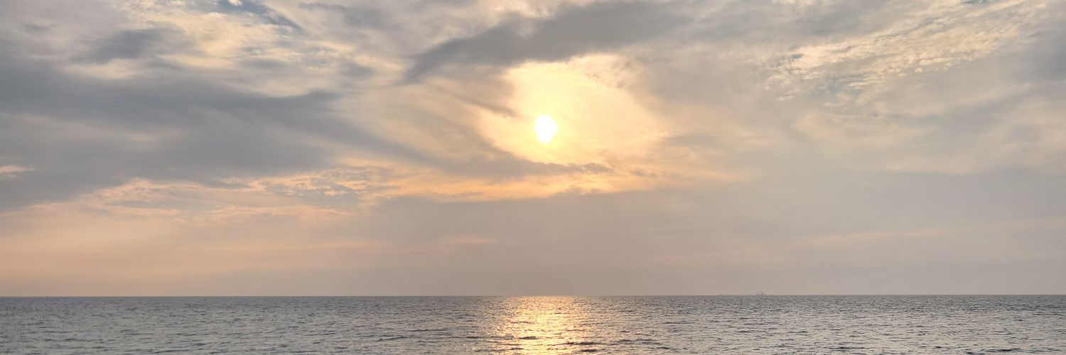大一 banner