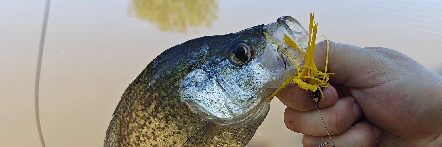 Boston Boston banner