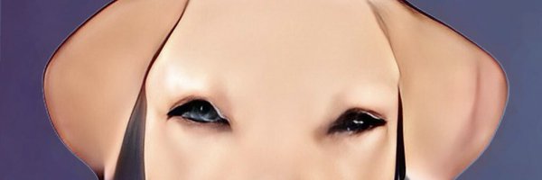 Sheru_Doggo Profile Banner