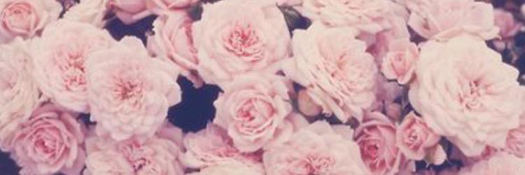 WoodXEmily's profile banner image