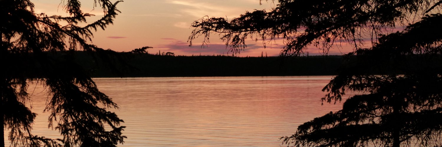BobWoolard1's profile banner image