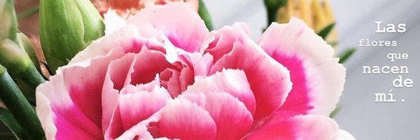 LartinaMopez Profile Banner