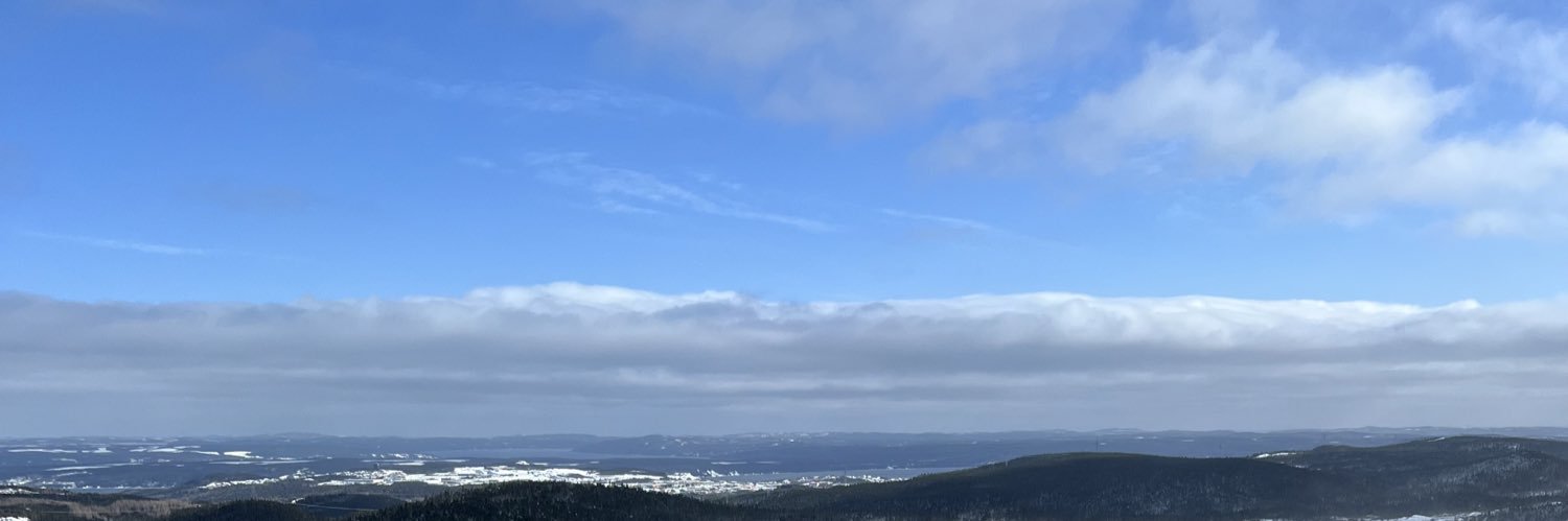 gvicnewman's profile banner image