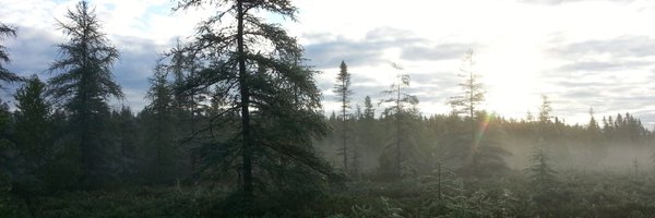 MeganeDeziel Profile Banner
