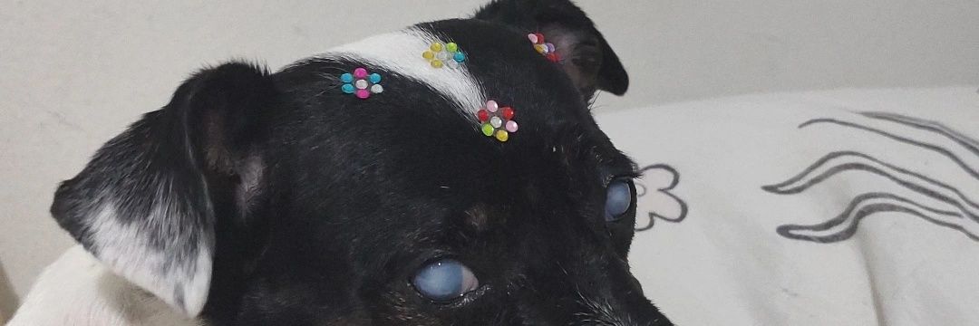 mihsaayuri's profile banner image