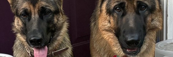 barnderk Profile Banner