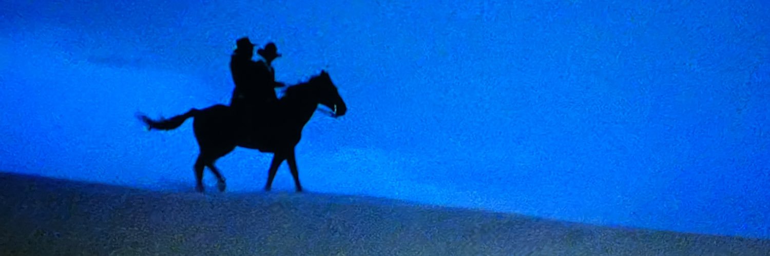 westernsecrets's profile banner image
