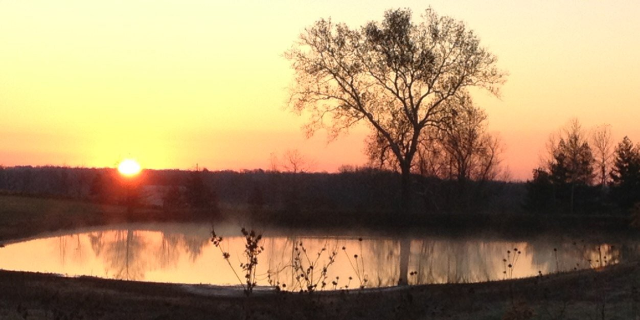 ConnieWerk's profile banner image