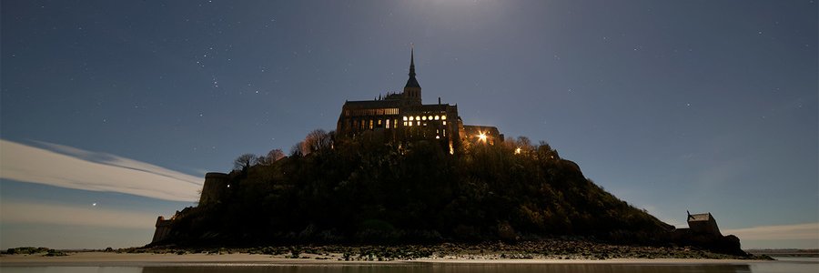 Louis de Joinville banner