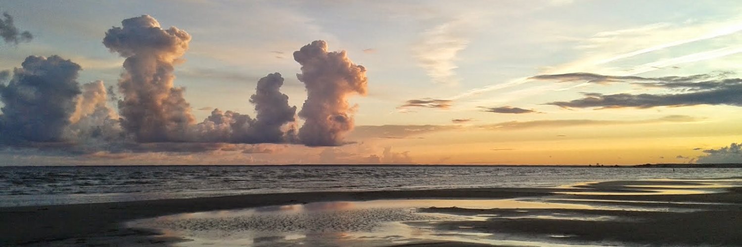 Martin D. Brown banner