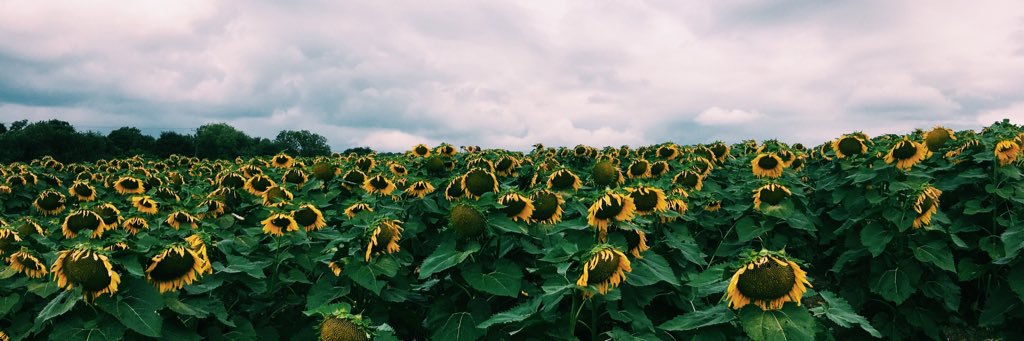 JMUDeltaGamma's profile banner image