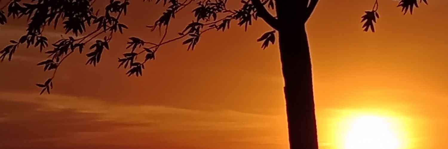 lokyyfer's profile banner image