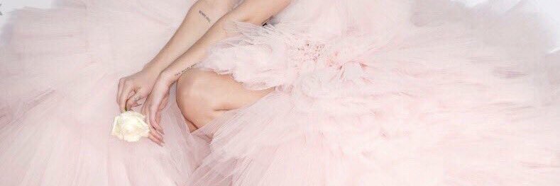 𝒫's banner