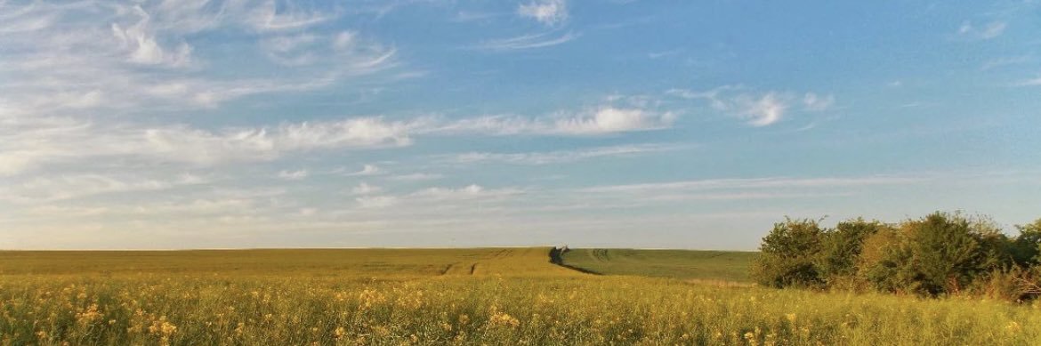 Darya Zorka's banner