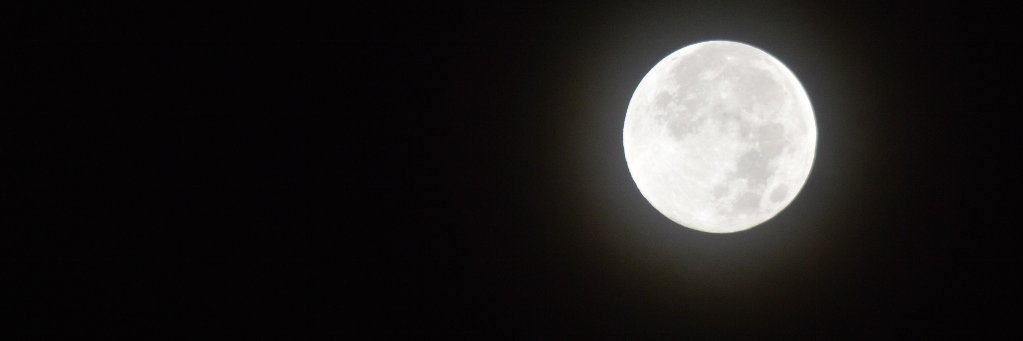 JuneNightOwl's profile banner image