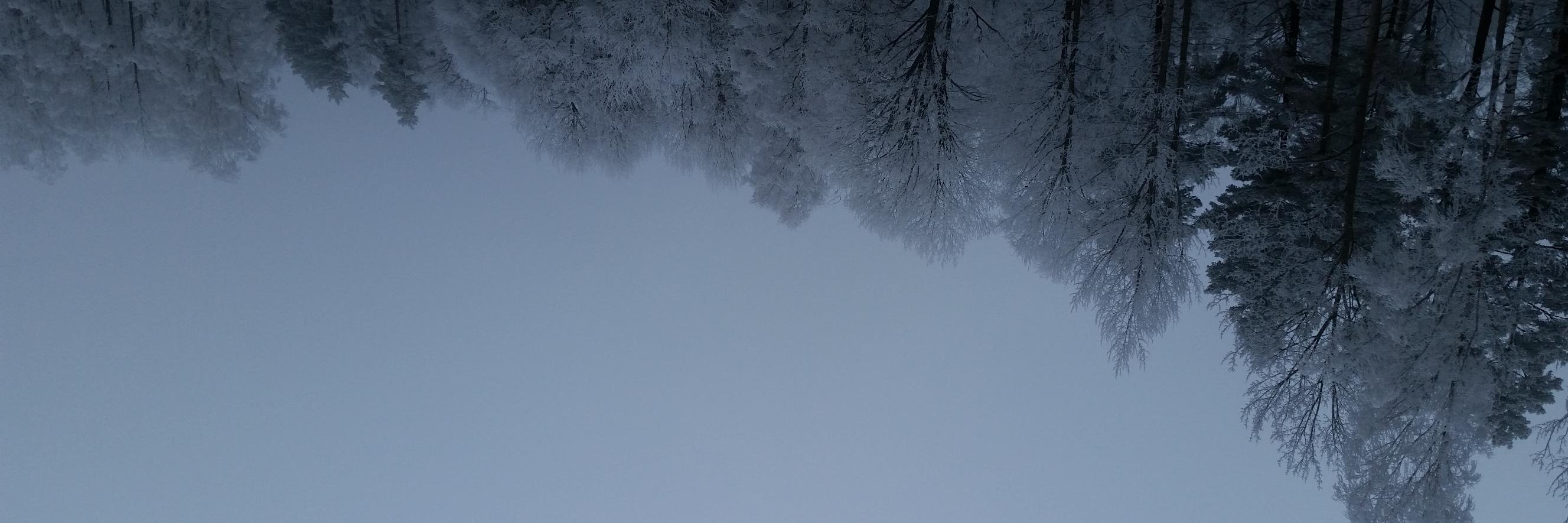 forecaster71's profile banner image