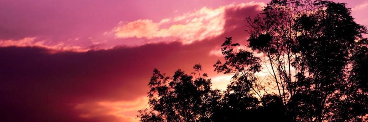 AdrianitaSaVi's profile banner image