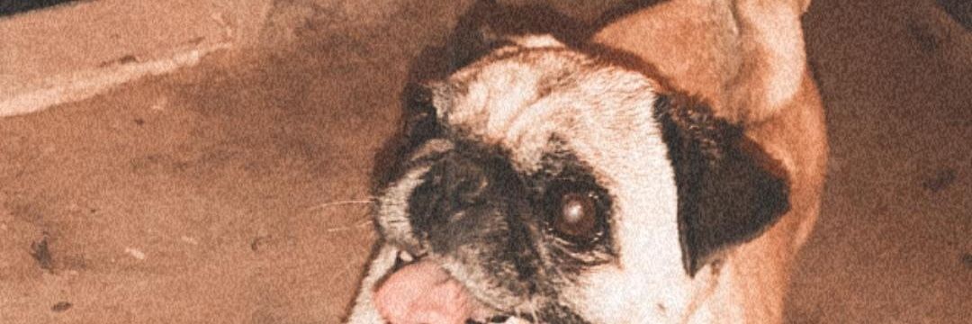 MellSoto's profile banner image