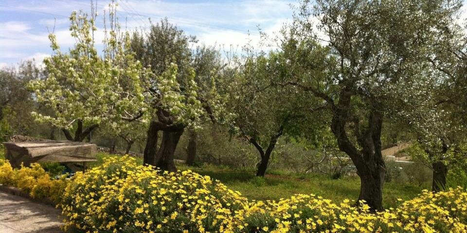 MassimilianoMuggianu banner