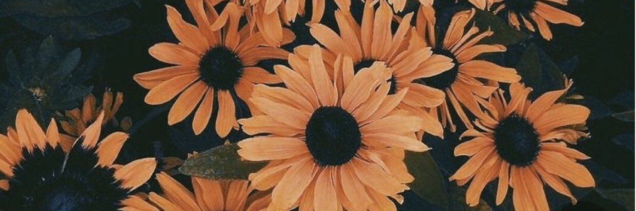 macielynn18's profile banner image