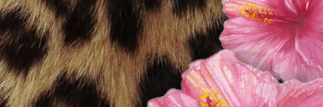 Danielle 🐅🌺 banner