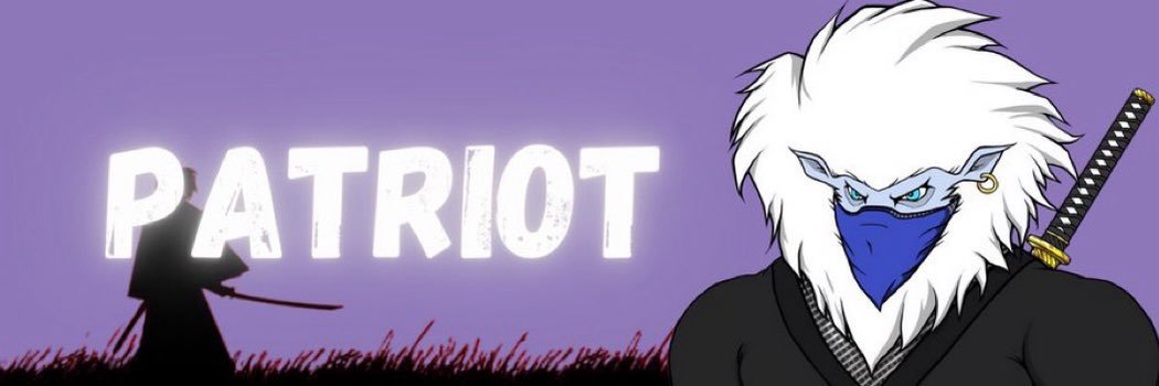 Patriot's banner