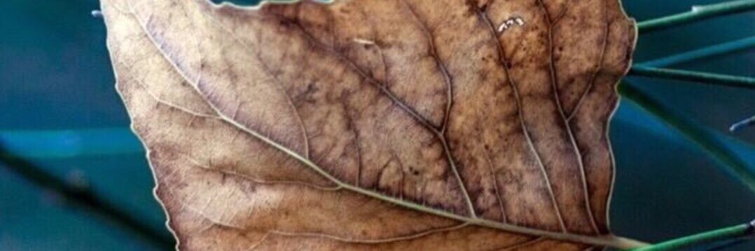 AndResisting's profile banner image