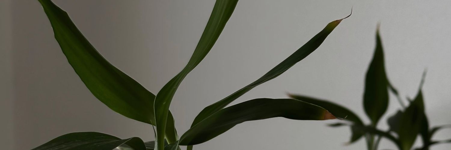 Rahmayasser2005's profile banner image
