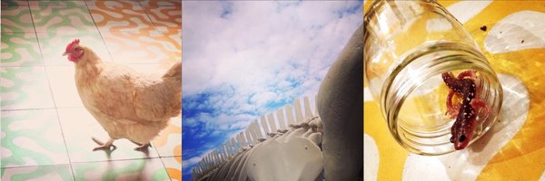 RobinYardi Profile Banner