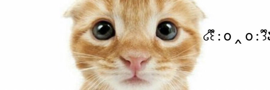 pelito de durazno ₍ᵔ·͈༝·͈ᵔ₎ banner
