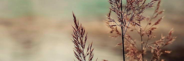 InteriorJoiner's profile banner image